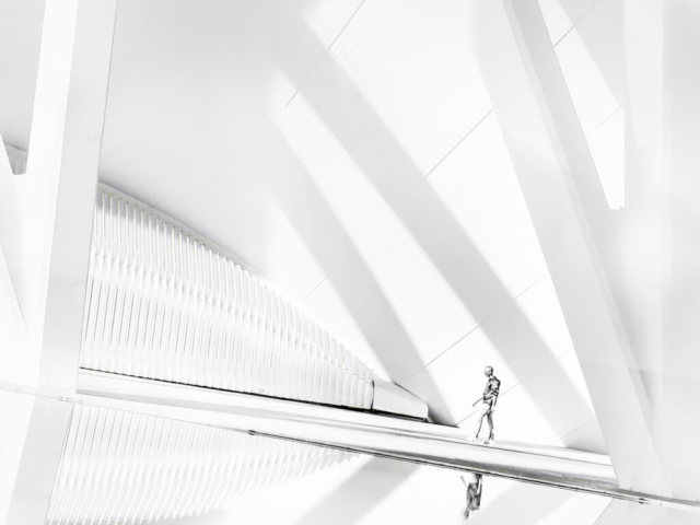 Albertine Boere - 2e plaats Vrij Werk