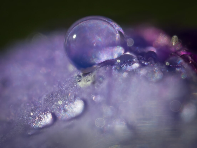 Pieter Boere - 3e plaats Vrij Werk